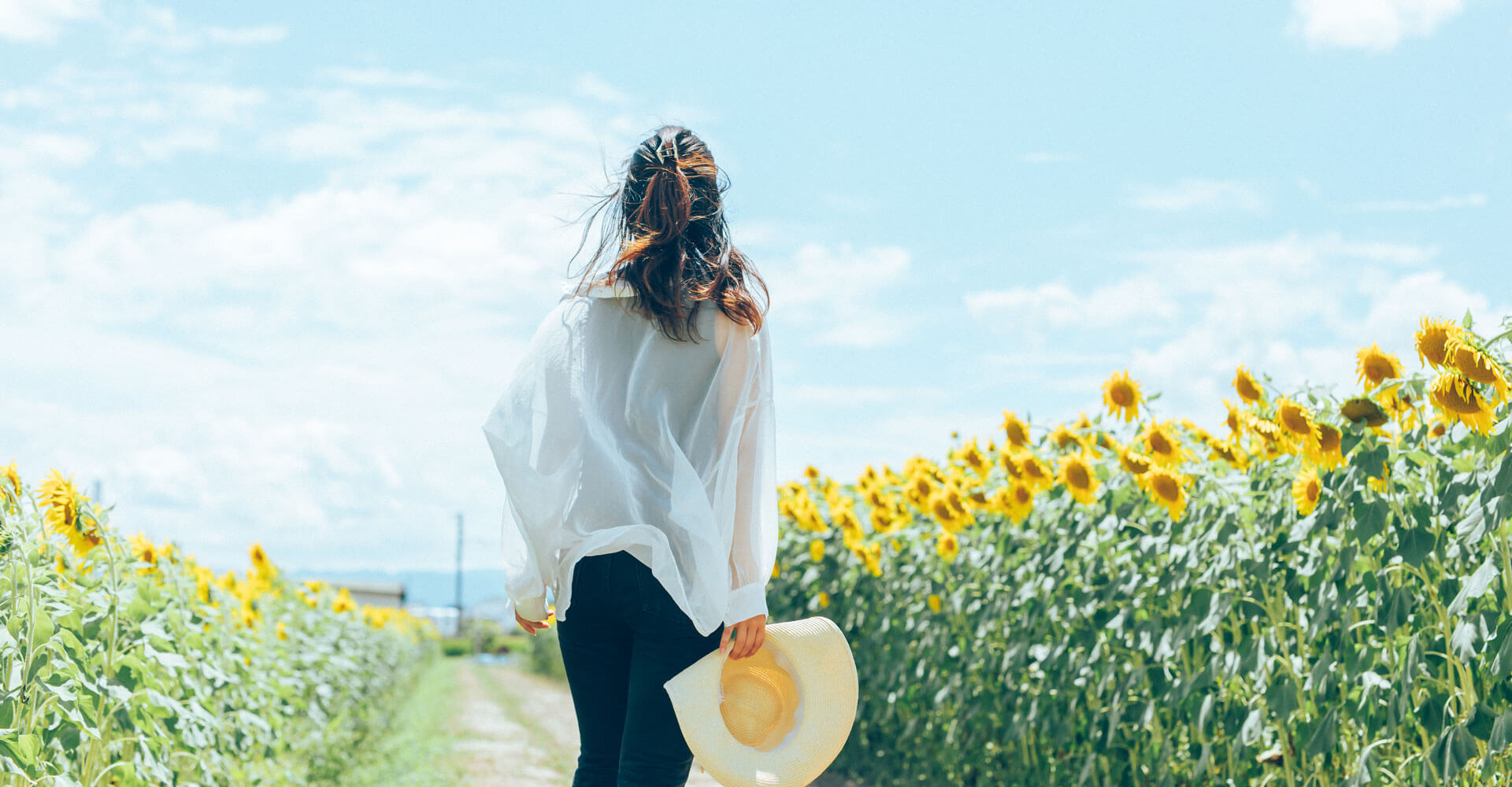 お部屋探しの流れ