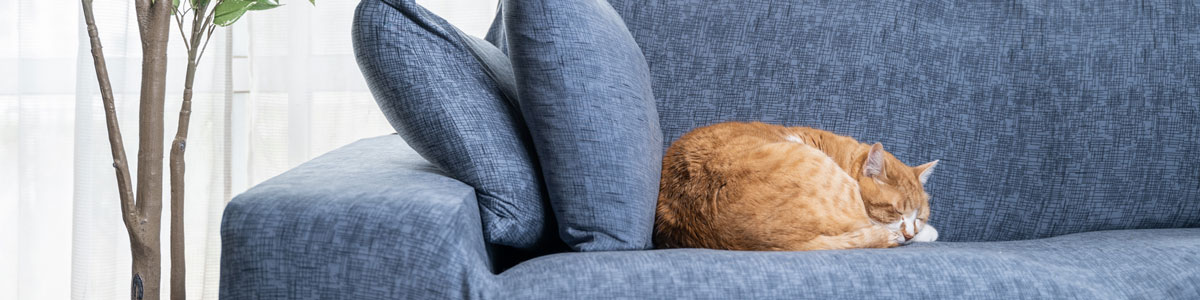 入居後も安心サポート